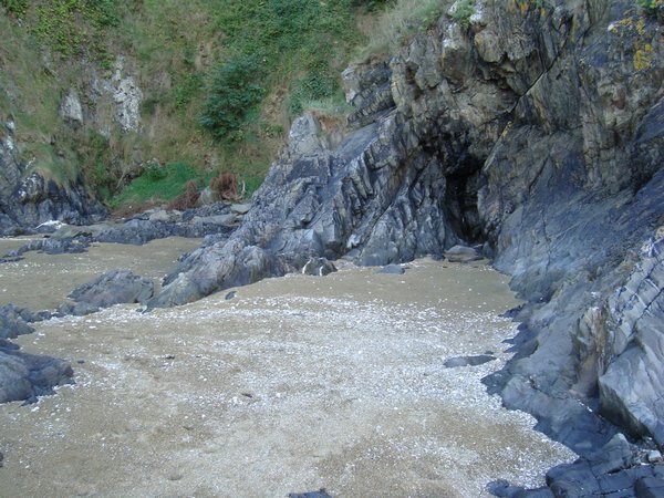 DSC06220.JPG