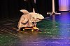 IMG_4143.JPG