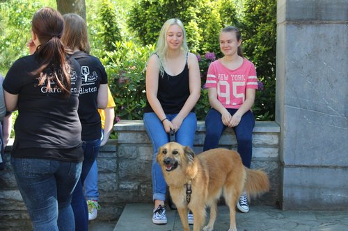 Grillfest 2015 - 117.jpg