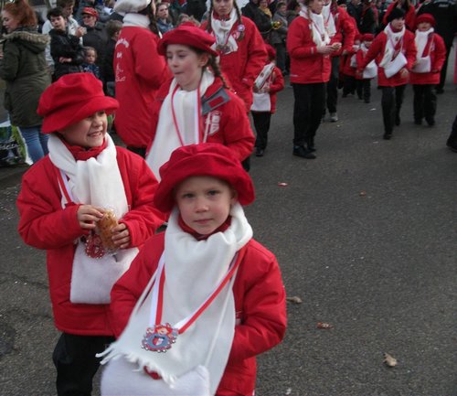 35 - Rosenmontagszug.jpg